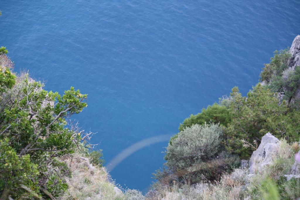 B&B Calandrella Maratea Bagian luar foto